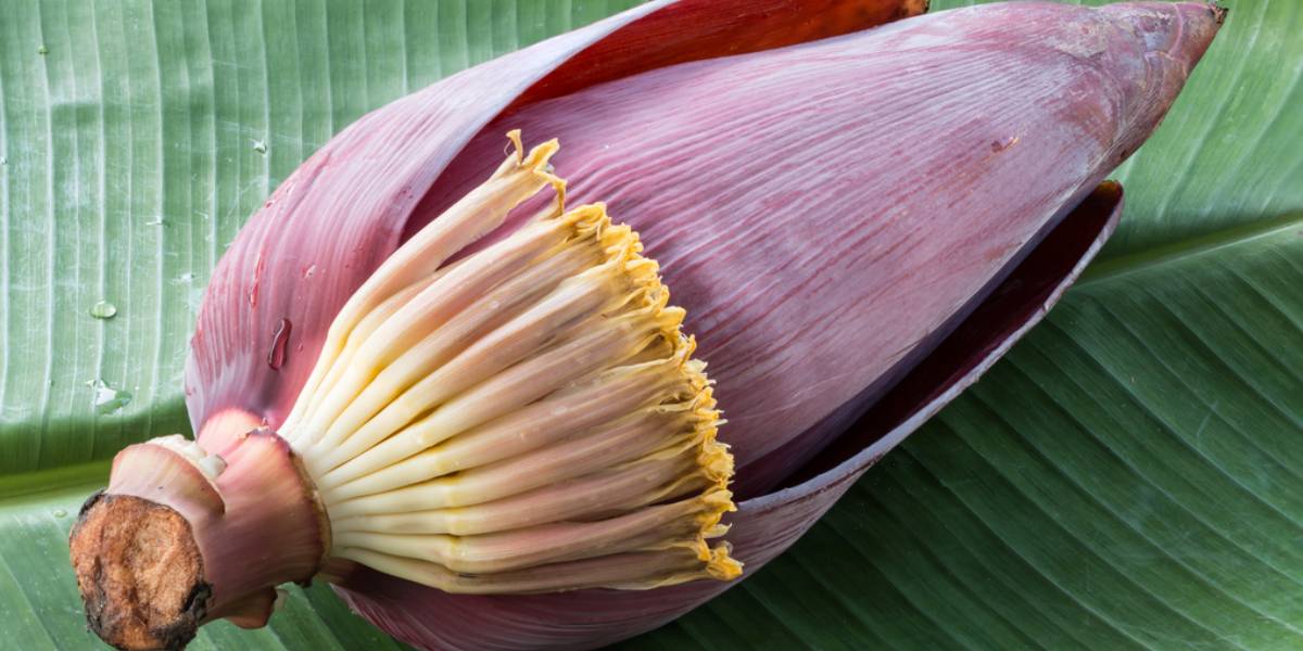 BananaFlower