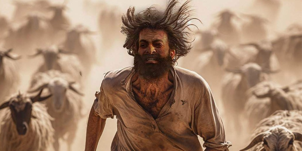 Aadujeevitham box office