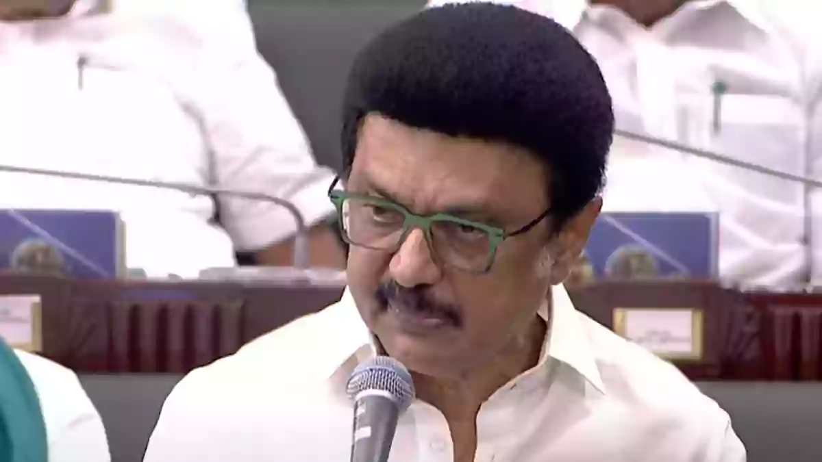MKStalin TNAssembly