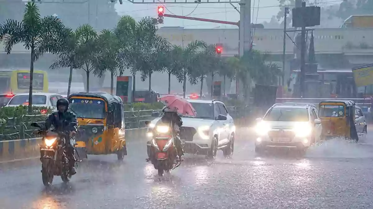 TN Rain