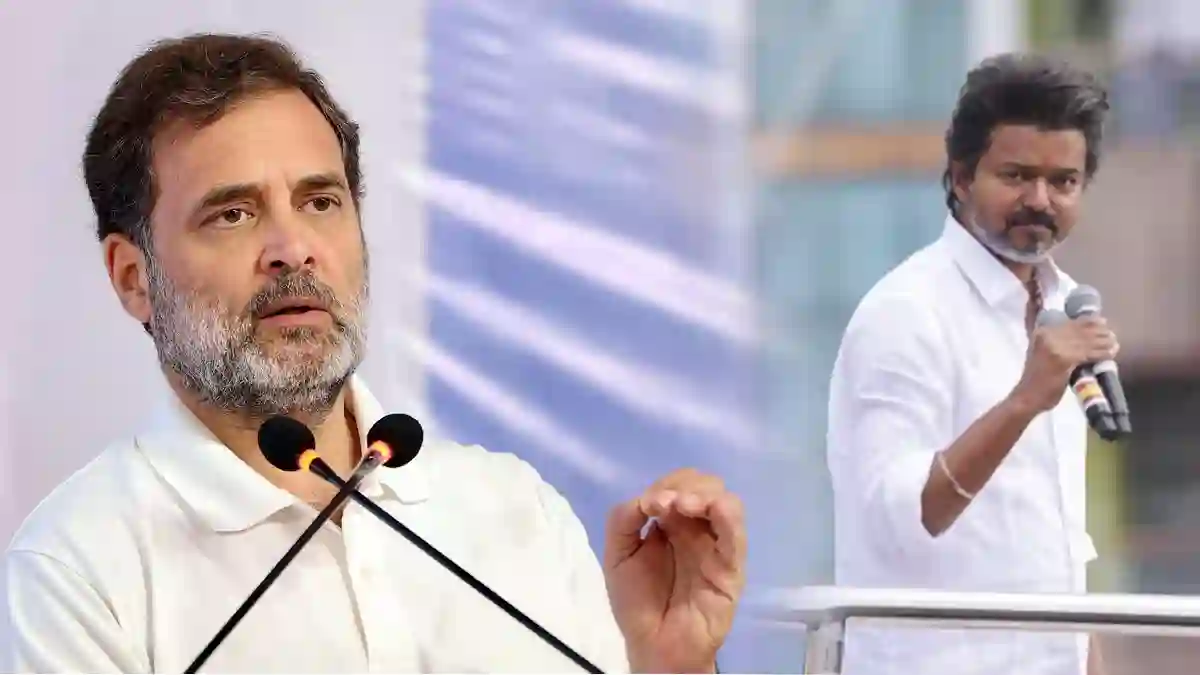rahul gandhi tvk vijay in karur