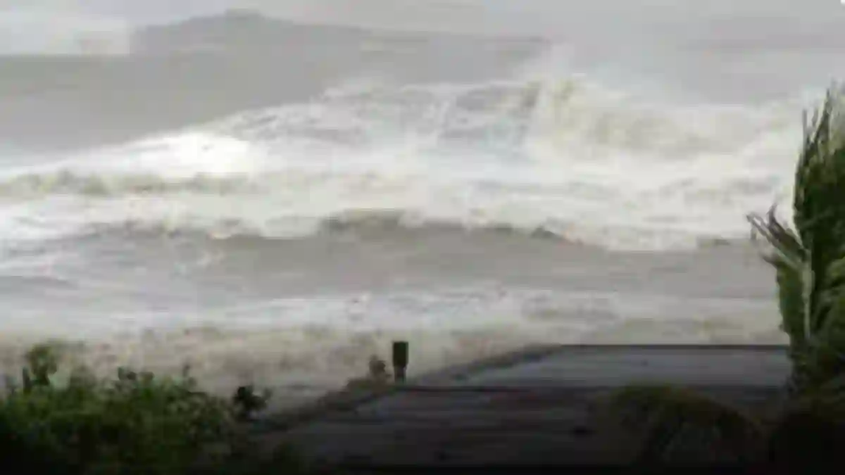 ditwah cyclone news