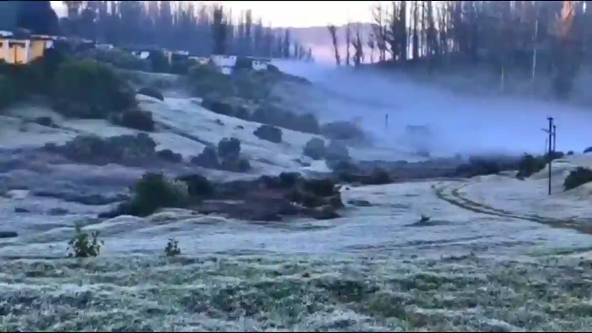 Frost