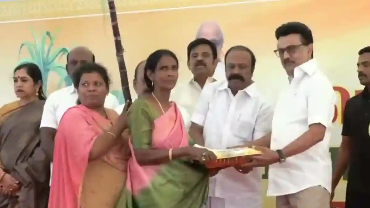 Polgal2026 mk stalin